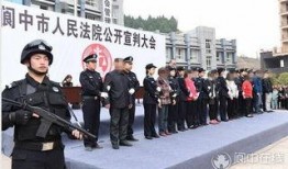 广东讨薪新闻爆料事件最新,最新爆料揭露维权困境与政府应对