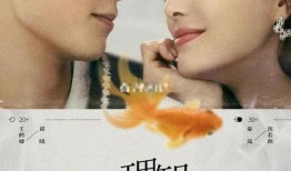 爆料秦岚王鹤棣视频大全,视频大全揭秘幕后花絮